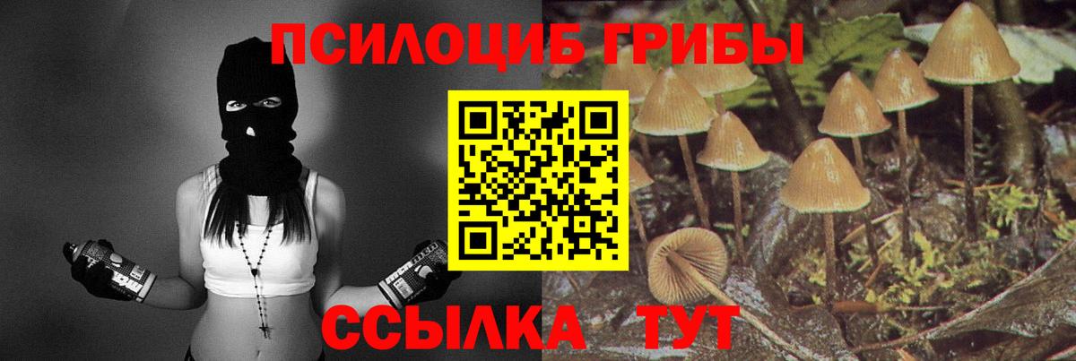 Галлюциногенные грибы Psilocybine cubensis Горячий Ключ